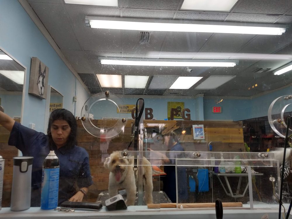 Inside the Canine Beach Pet Grooming salon in Oakland Park